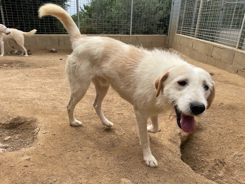 ALBERT - soooooo nett & toll