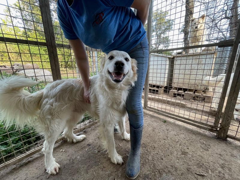 GAETANO - so schön wie ein Coverboy