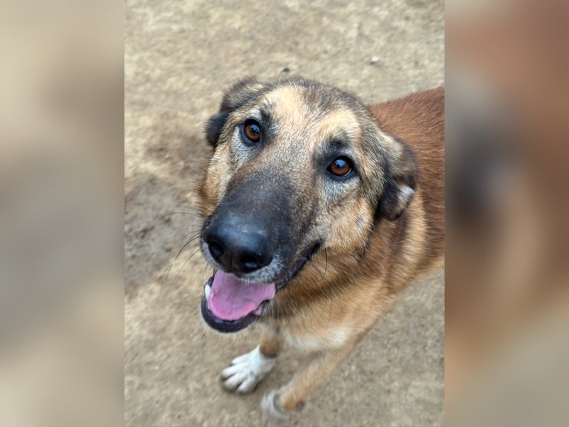 DANNY - sensibel & menschenbezogen