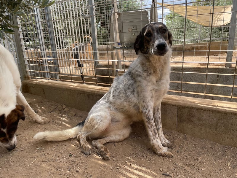 CLODETTE - lieb und menschenbezogen
