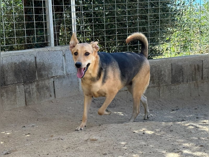 ROSALIE - unser toller Wonneproppen