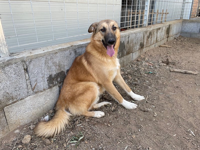 DANNY - sensibel & menschenbezogen