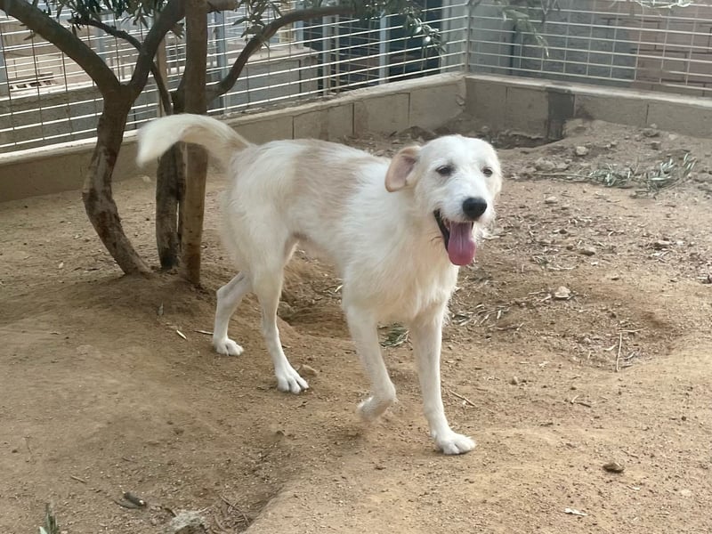 ALBERT - soooooo nett & toll