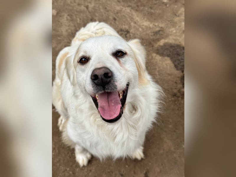 GAETANO - so schön wie ein Coverboy
