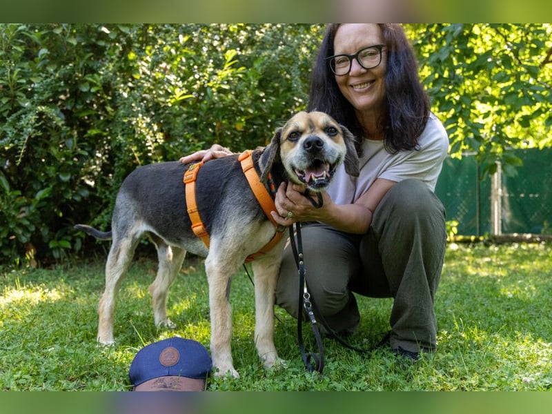 Servus Max - ein Herzenshund sucht sein Glück - Tierhilfe Franken e.V.