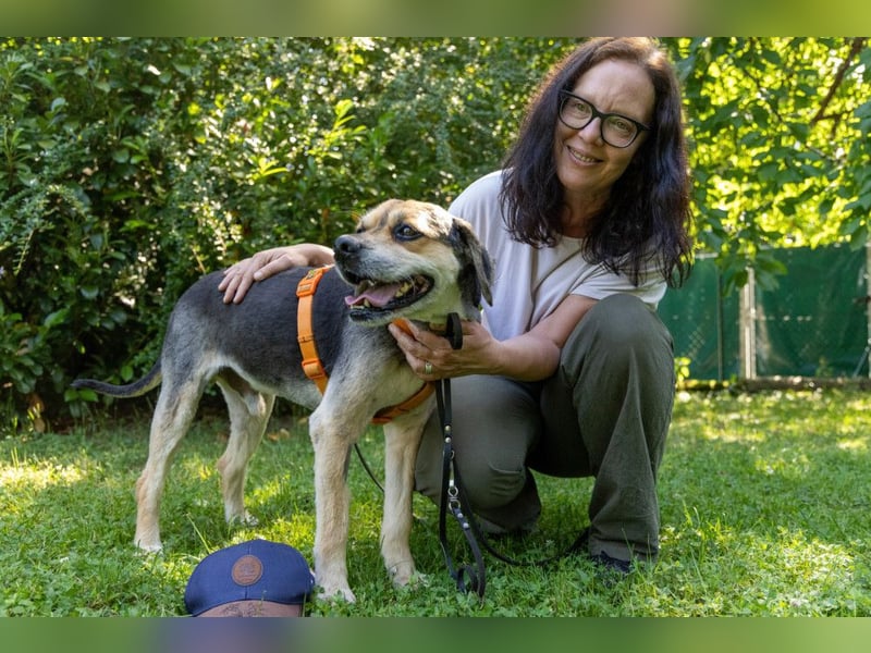 Servus Max - ein Herzenshund sucht sein Glück - Tierhilfe Franken e.V.