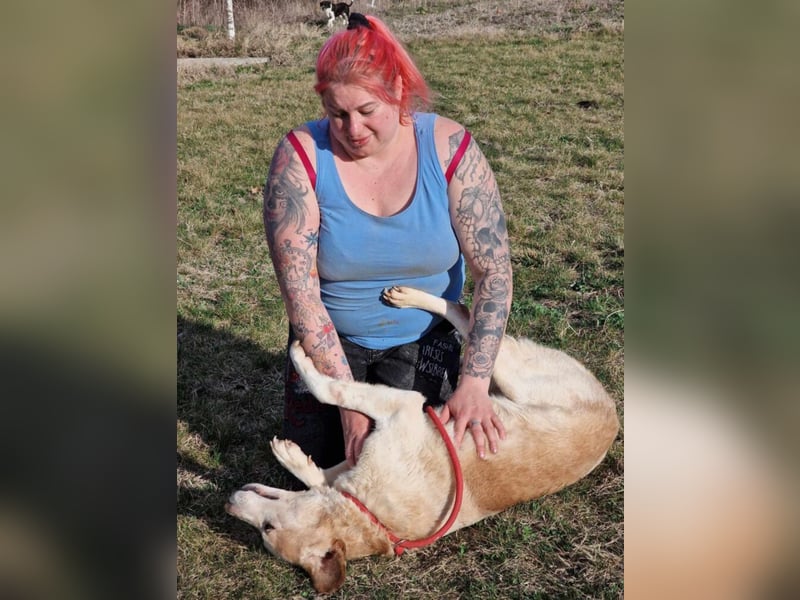 Sehr liebe und verträgliche Hündin „Zuca“, ca. 2019 geboren. Wartet schon 4 Jahre auf ein Zuhause.