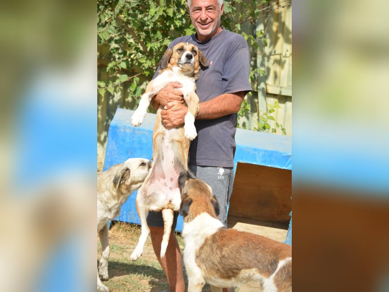 GRACIE, ca. 2022 geboren, noch öngstlich, sucht erfahren Menschen