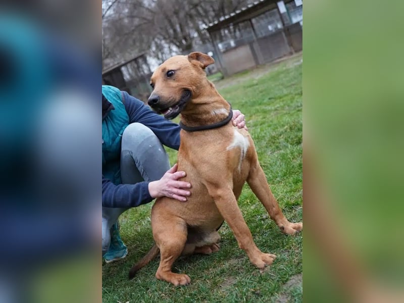 „Konrad“, ca. 20.02.2020 geb., kämpfte um sein Leben, sehr menschenbezogen (mit Video)