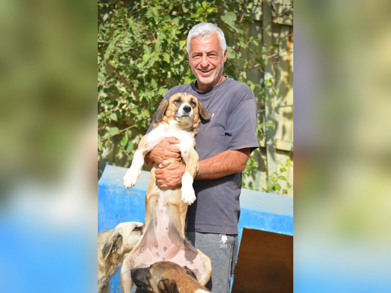 GRACIE, ca. 2022 geboren, noch öngstlich, sucht erfahren Menschen