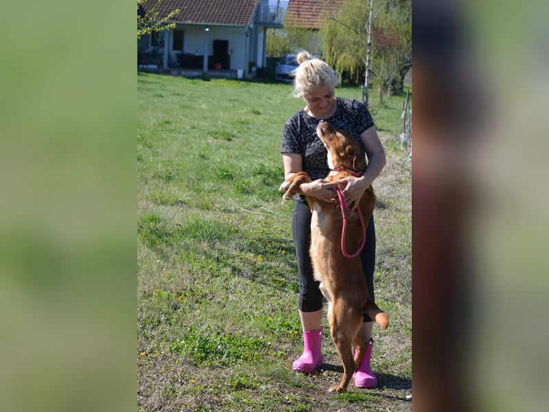 Zuta - Aufgeweckte Hündin, ca. 2021 geboren, gut verträglich, sehr lieb