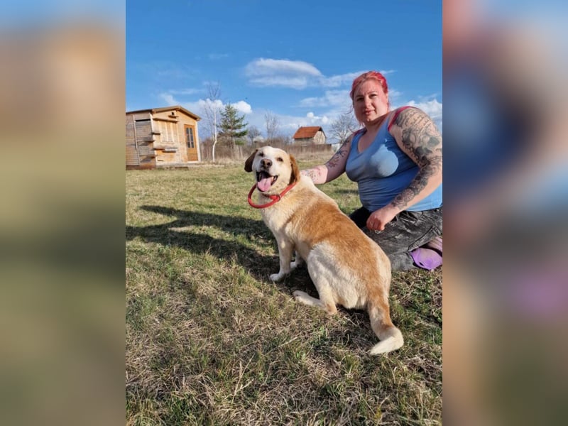 Sehr liebe und verträgliche Hündin „Zuca“, ca. 2019 geboren. Wartet schon 4 Jahre auf ein Zuhause.