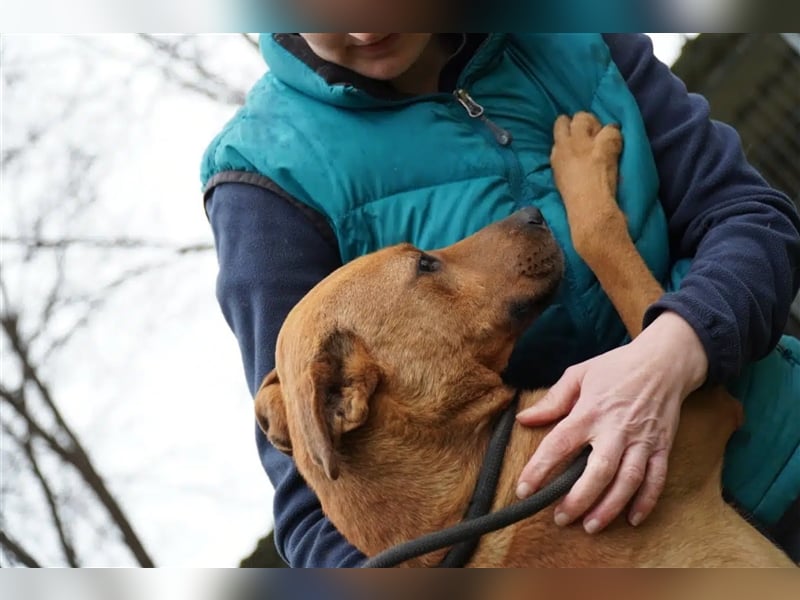 „Konrad“, ca. 20.02.2020 geb., kämpfte um sein Leben, sehr menschenbezogen (mit Video)