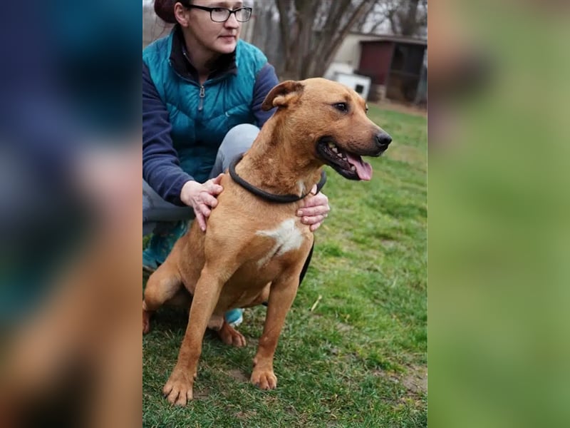 „Konrad“, ca. 20.02.2020 geb., kämpfte um sein Leben, sehr menschenbezogen (mit Video)