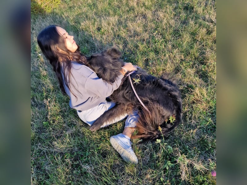 Meda - Aktiver Rüde, geb. 2021, sucht Zuhause