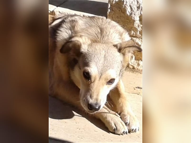 Svetlana - Seniorin sucht Altersruheplatz