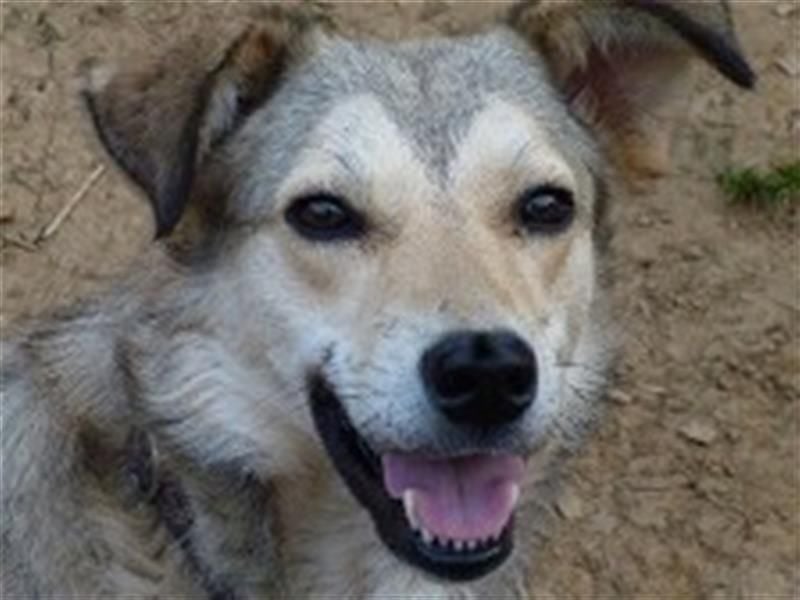 Svetlana - Seniorin sucht Altersruheplatz