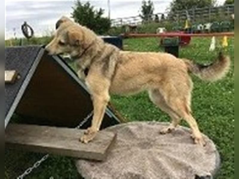 Svetlana - Seniorin sucht Altersruheplatz