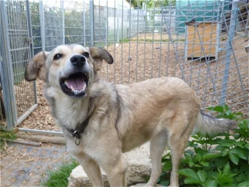 Svetlana - Seniorin sucht Altersruheplatz