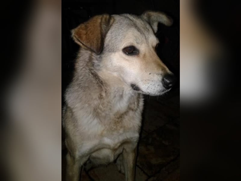 Svetlana - Seniorin sucht Altersruheplatz