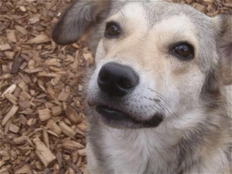 Svetlana - Seniorin sucht Altersruheplatz