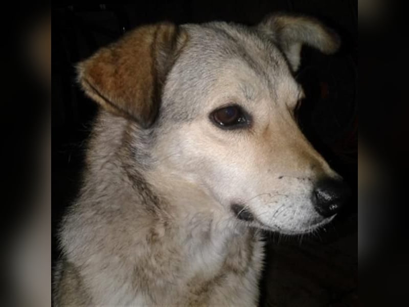 Svetlana - Seniorin sucht Altersruheplatz