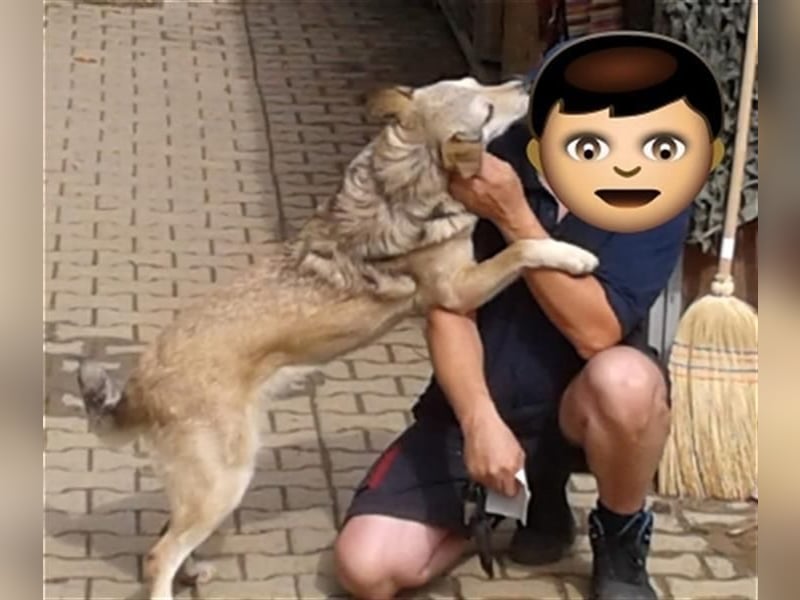 Svetlana - Seniorin sucht Altersruheplatz