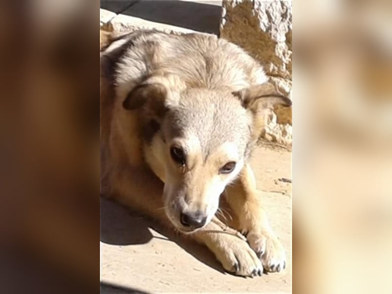 Svetlana - Seniorin sucht Altersruheplatz