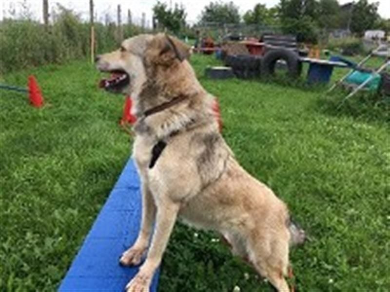 Svetlana - Seniorin sucht Altersruheplatz