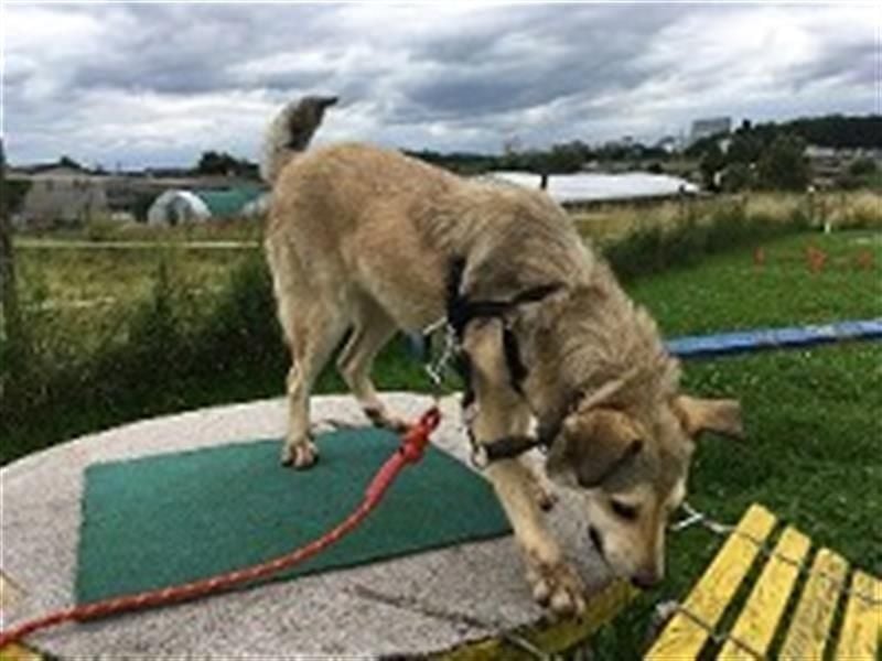 Svetlana - Seniorin sucht Altersruheplatz