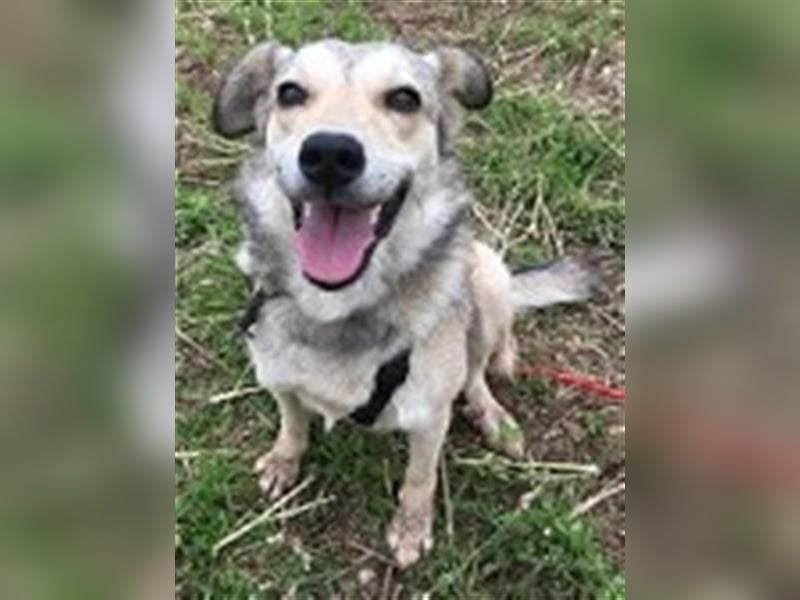 Svetlana - Seniorin sucht Altersruheplatz