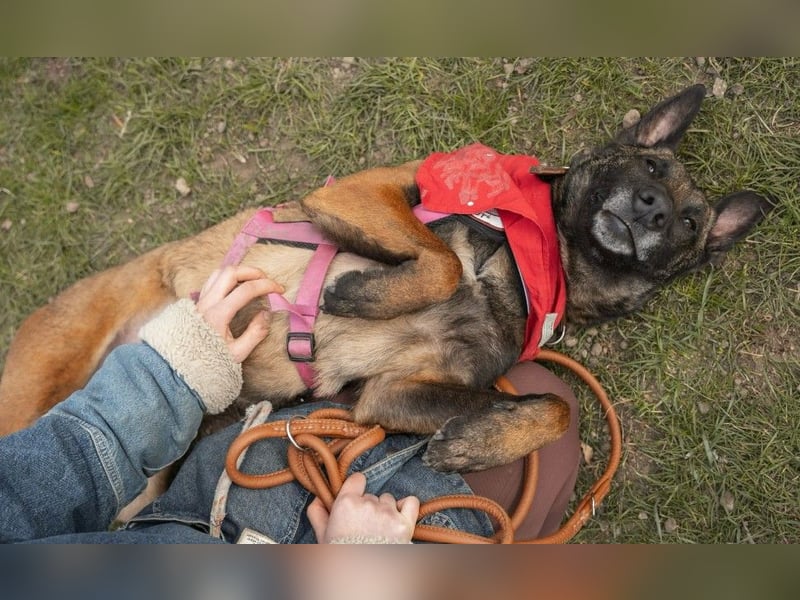 GINA: Souveräne Begleiterin & Kuschelmaus sucht aktive Menschen