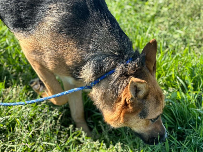 Offene liebevolle Anka sucht ihre Familie