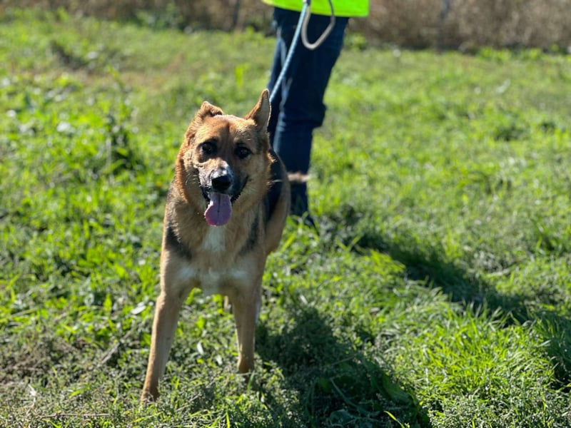 Offene liebevolle Anka sucht ihre Familie