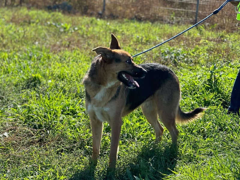 Offene liebevolle Anka sucht ihre Familie