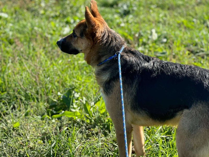 Offene liebevolle Anka sucht ihre Familie