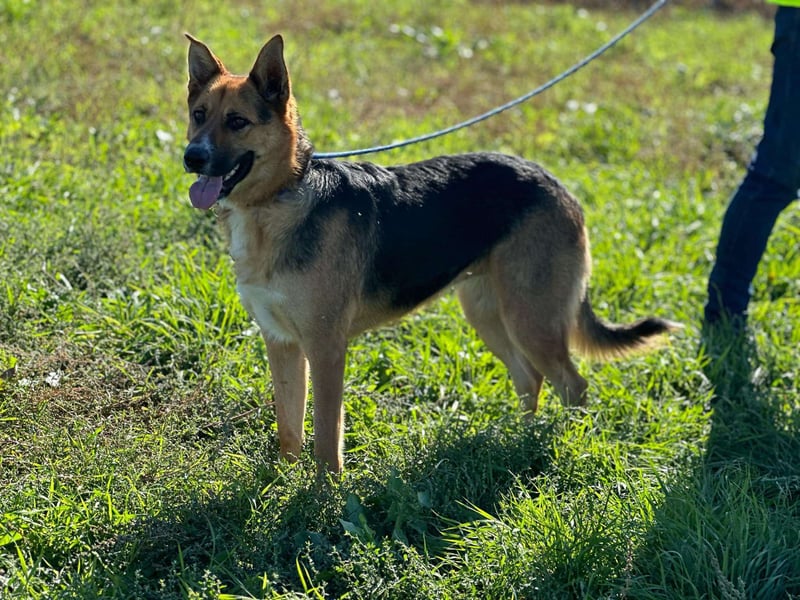 Offene liebevolle Anka sucht ihre Familie