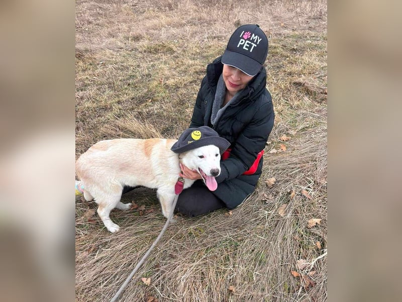 Edy sucht sein Zuhause