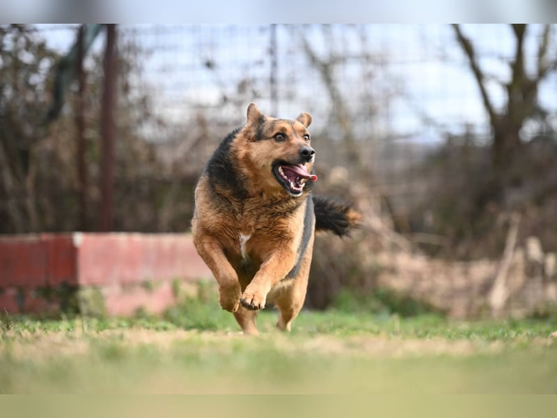 Doris - endlich ankommen und für immer bleiben