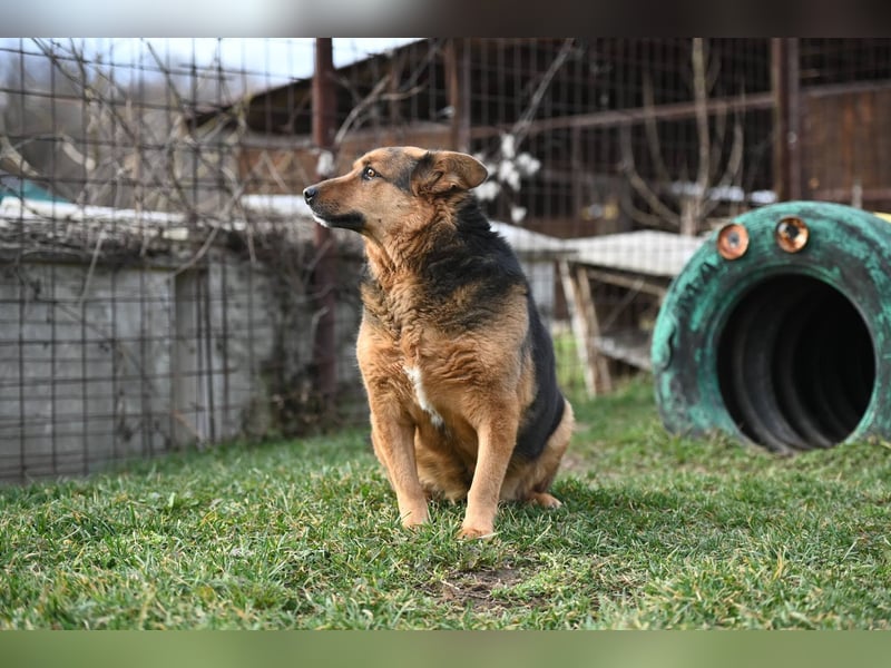 Doris - endlich ankommen und für immer bleiben