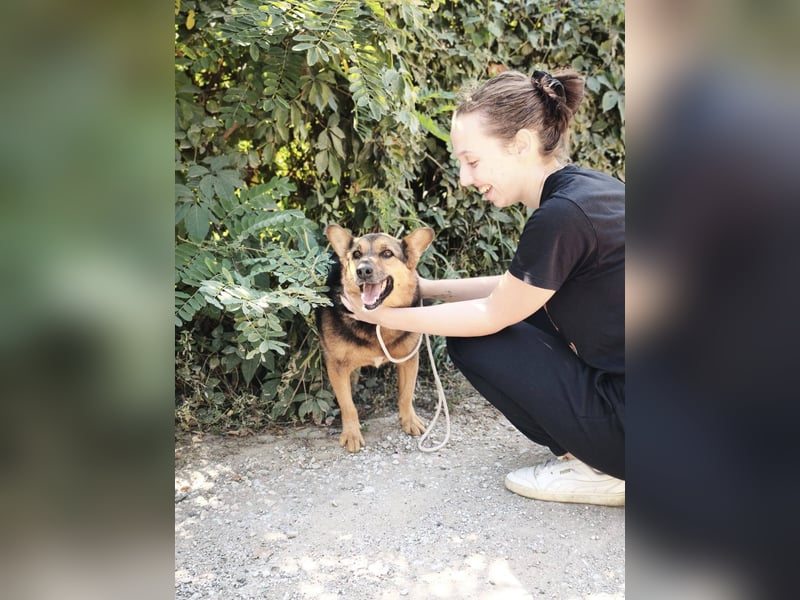 Doris - endlich ankommen und für immer bleiben