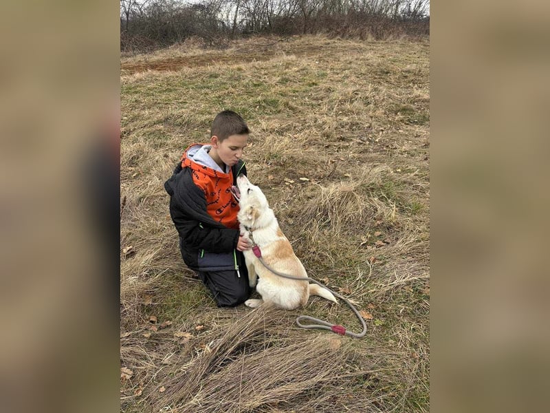 Edy sucht sein Zuhause