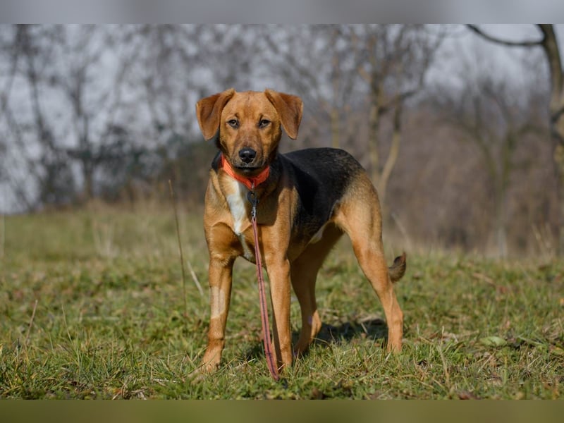 Elfy sucht ein Zuhause