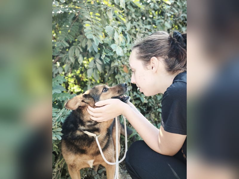 Doris - endlich ankommen und für immer bleiben