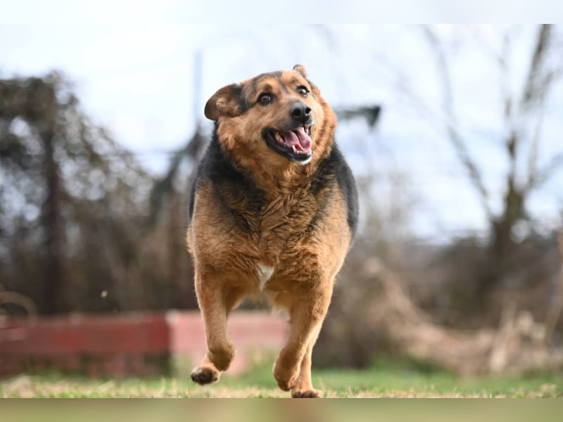 Doris - endlich ankommen und für immer bleiben