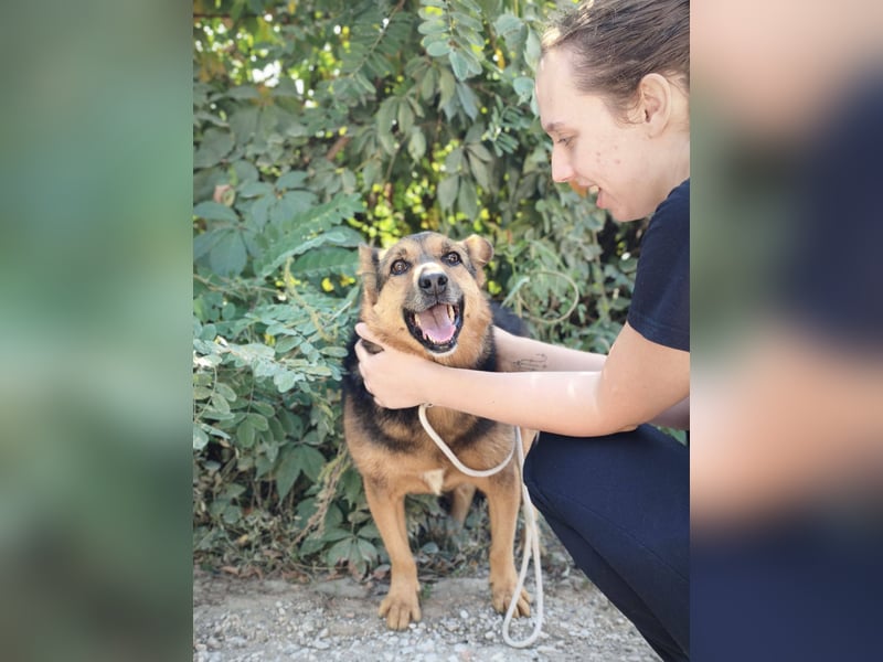 Doris - endlich ankommen und für immer bleiben