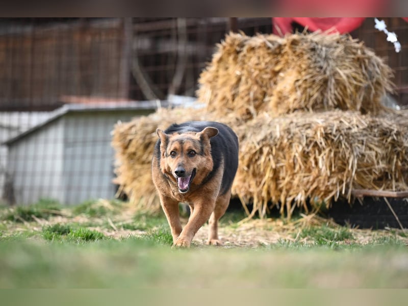 Doris - endlich ankommen und für immer bleiben