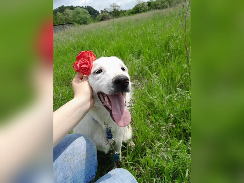 Edy sucht sein Zuhause