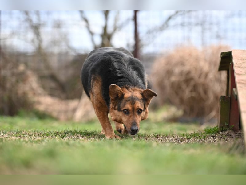 Doris - endlich ankommen und für immer bleiben