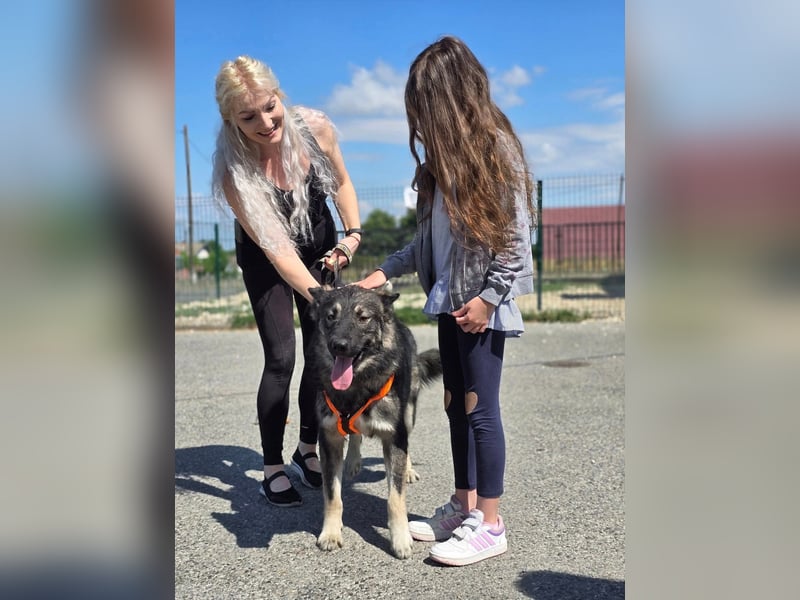 Zony sucht seine Menschen